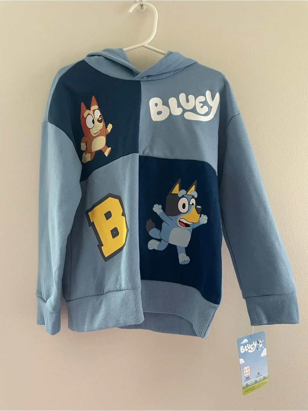 Toddler Boys NWT 5T Bluey and Bingo Hooded Sweat Pant Set
